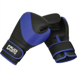 Boxing Gloves 2
