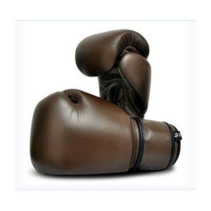 Boxing Gloves PS-1004